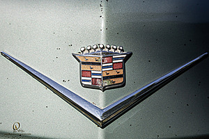 WCruisers_PH25_IMG_0657-Enhanced-NR.jpg