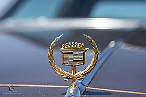 WCruisers_PH25_IMG_0753-Enhanced-NR.jpg