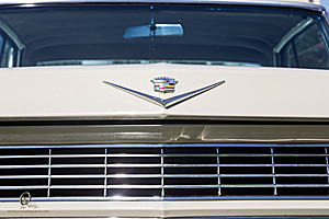 WCruisers_PH25_IMG_0791-Enhanced-NR.jpg