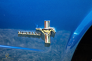 WCruisers_PH25_IMG_0937-Enhanced-NR.jpg