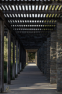 DA_PH25_IMG_1682-Enhanced-NR.jpg