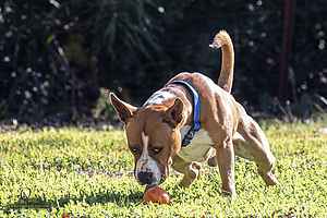 OllieM_PH25_IMG_9169_Enhanced_NR.jpg