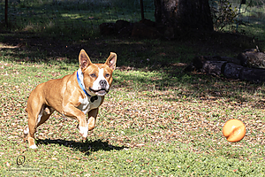 OllieM_PH25_IMG_9209_Enhanced_NR.jpg