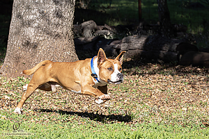 OllieM_PH25_IMG_9237_Enhanced_NR.jpg