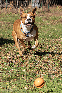 OllieM_PH25_IMG_9247_Enhanced_NR.jpg