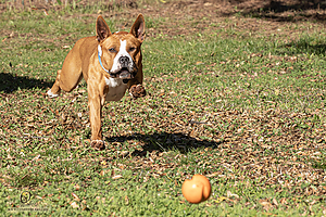 OllieM_PH25_IMG_9248_Enhanced_NR.jpg