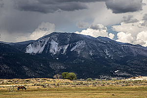 WL_PH25_IMG_3785-Enhanced-NR.jpg
