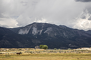 WL_PH25_IMG_3811-Enhanced-NR-2.jpg