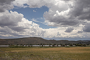 WL_PH25_IMG_3817-Enhanced-NR.jpg