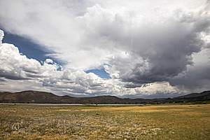 WL_PH25_IMG_3831-Enhanced-NR.jpg