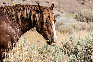 WL_PH25_IMG_3924-Enhanced-NR.jpg