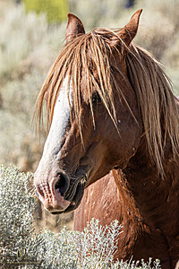 WL_PH25_IMG_3932-Enhanced-NR.jpg