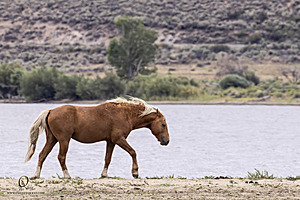 WL_PH25_IMG_4194-Enhanced-NR.jpg