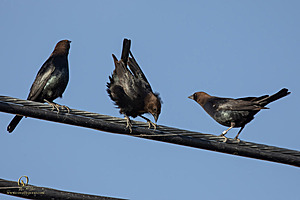 WRP_PH25_IMG_1817-Enhanced-NR.jpg