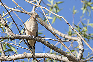 WRP_PH25_IMG_1904-Enhanced-NR.jpg