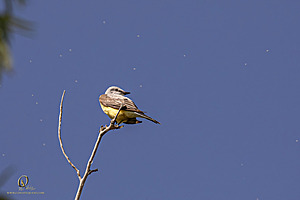 WRP_PH25_IMG_2448-Enhanced-NR.jpg