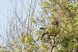 WRPR_PH25_IMG_9237-Enhanced-NR.jpg
