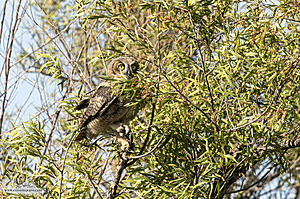 WRPR_PH25_IMG_9244-Enhanced-NR.jpg
