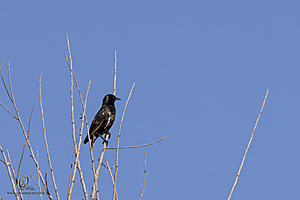 WRPR_PH25_IMG_9812-Enhanced-NR.jpg