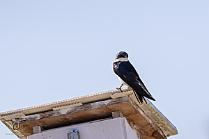 WRPR_PH25_IMG_9974-Enhanced-NR.jpg