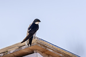 WRPR_PH25_IMG_9977-Enhanced-NR.jpg