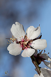 MF_PH25_IMG_8695-Enhanced-NR.jpg