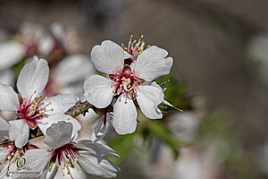 MF_PH25_IMG_8701-Enhanced-NR.jpg