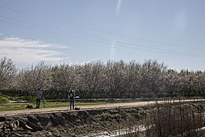 MF_PH25_IMG_8906-Enhanced-NR.jpg