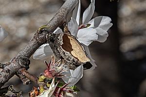 MF_PH25_IMG_8928-Enhanced-NR.jpg