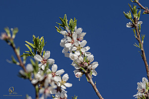 MF_PH25_IMG_9399-Enhanced-NR.jpg