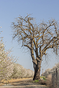 MF_PH25_IMG_9458-Enhanced-NR.jpg
