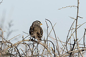 MF_PH25_IMG_9616-Enhanced-NR.jpg