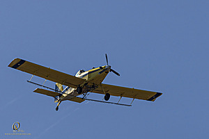 MF_PH25_IMG_9761-Enhanced-NR.jpg