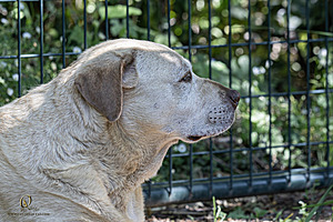 GH_PH25_IMG_1781-Enhanced-NR.jpg