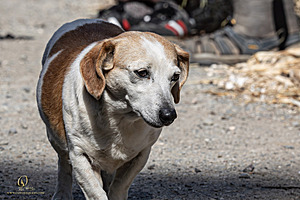 GH_PH25_IMG_1792-Enhanced-NR.jpg