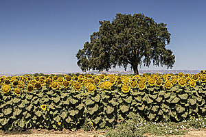 RR_PH25_IMG_1701-Enhanced-NR.jpg