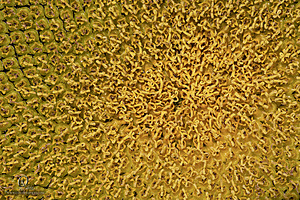 RR_PH25_IMG_2673-Enhanced-NR.jpg