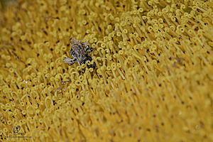 RR_PH25_IMG_2685-Enhanced-NR.jpg
