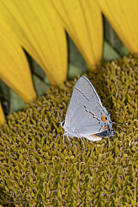 RR_PH25_IMG_2927-Enhanced-NR.jpg