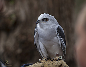 IMG_2283.jpg