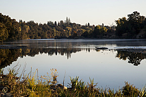 032_Effie_PR17_IMG_2267_2.jpg