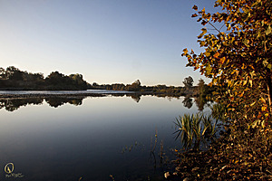 050_Effie_PR17_IMG_2284_2.jpg