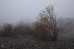 005_Effie_PR17_IMG_2446.jpg