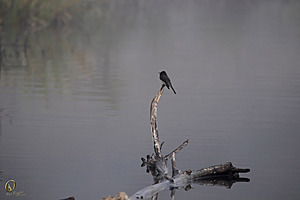 019_Effie_PR17_IMG_3071.jpg