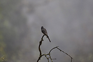 032_Effie_PR17_IMG_3158.jpg