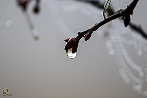 049_Effie_PR17_IMG_3262.jpg