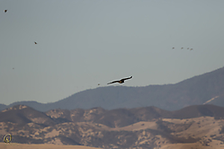 SNWR_PR17_IMG_1791.jpg
