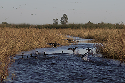 SNWR_PR17_IMG_1897.jpg