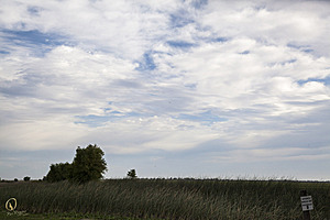 YPB_PR17_img_7341.jpg