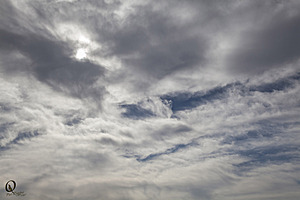YPB_PR17_img_7362.jpg